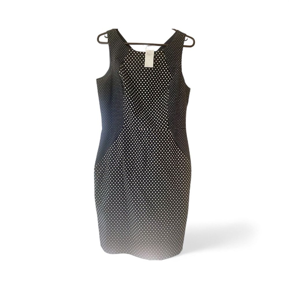 Banana Republic Blue and White Polka Dot Dress